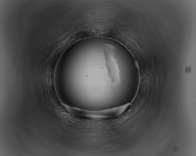 X0000101961058200807181035