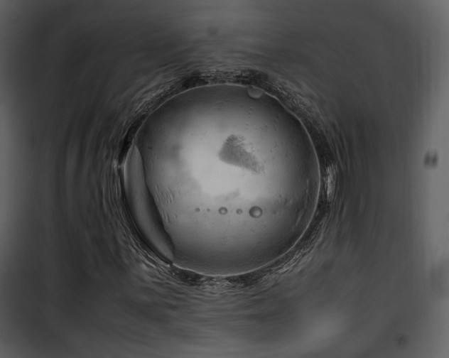 X0000101961059200807181035