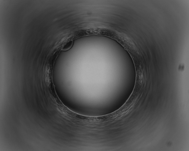 X0000101961060200807181035