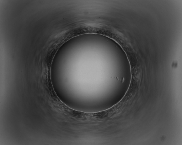 X0000101961061200807181035