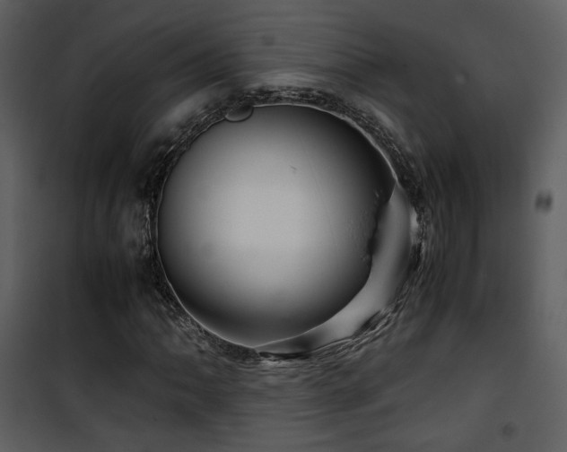 X0000101961062200807181035