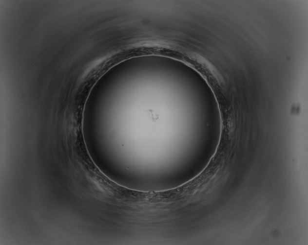 X0000101961064200807181035