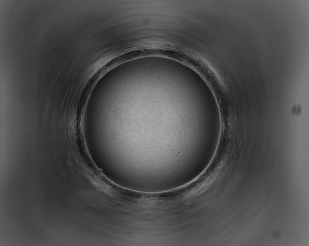 X0000101961065200807181035