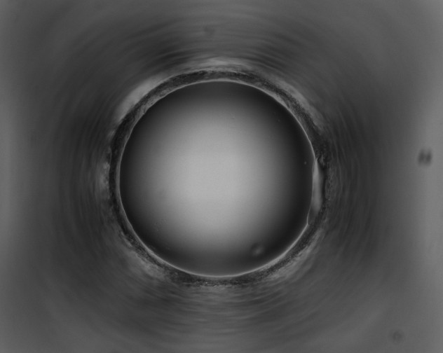 X0000101961066200807181035