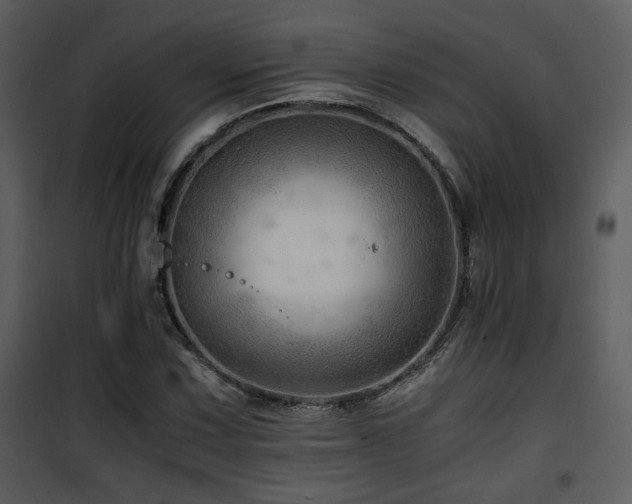 X0000101961067200807181035
