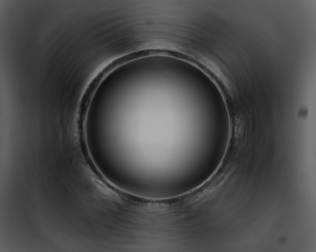 X0000101961068200807181035