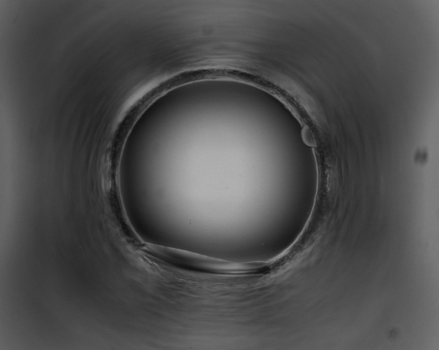 X0000101961069200807181035