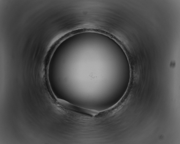 X0000101961070200807181035