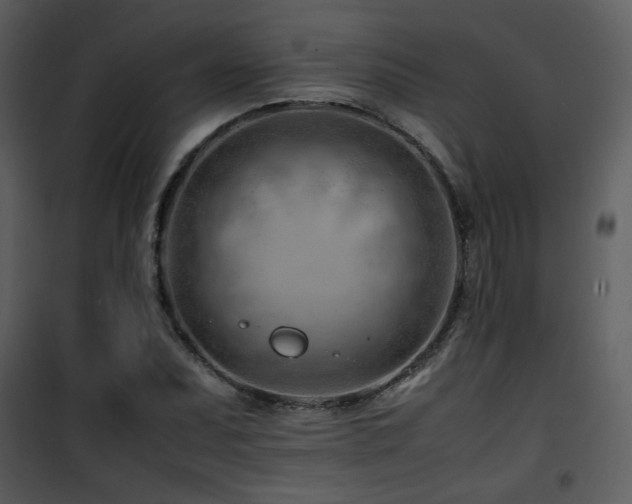 X0000101961071200807181035