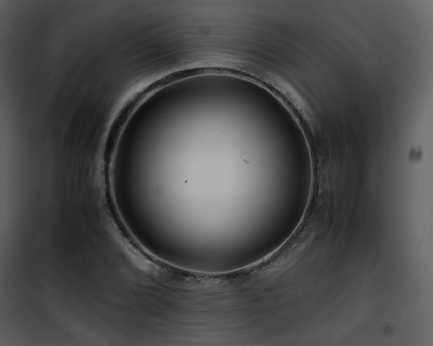X0000101961072200807181035
