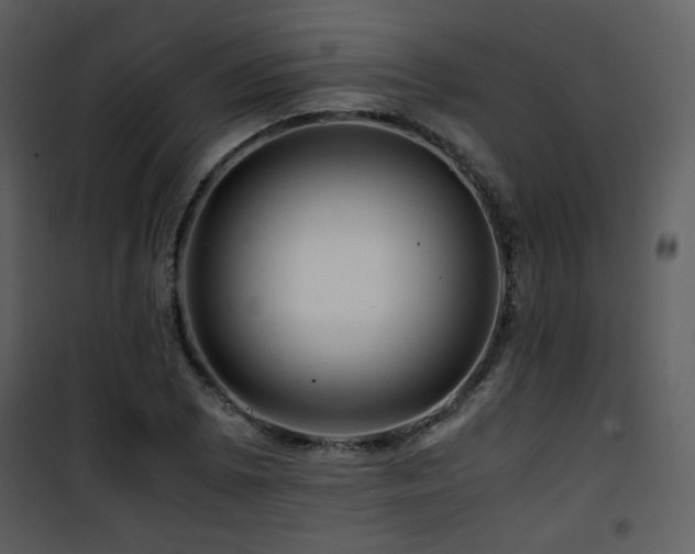 X0000101961073200807181035