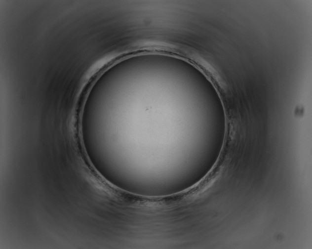 X0000101961074200807181035
