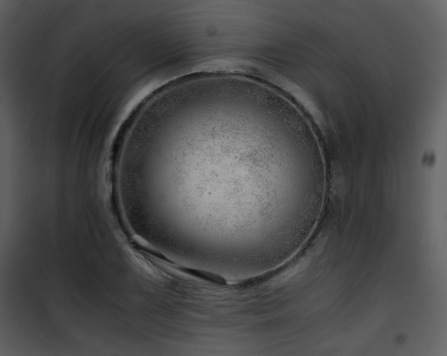 X0000101961075200807181035