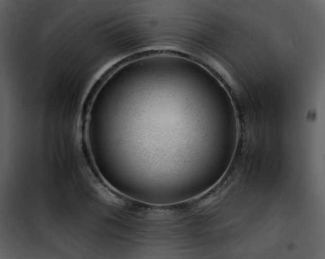 X0000101961076200807181035