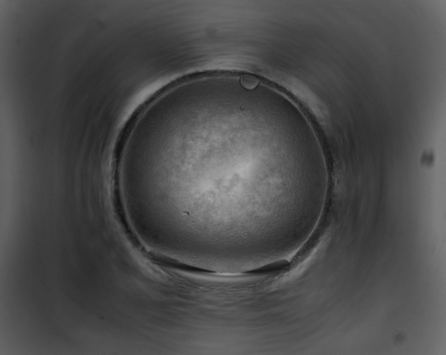 X0000101961077200807181035