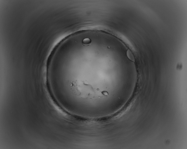X0000101961079200807181035