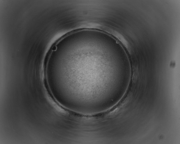 X0000101961080200807181035