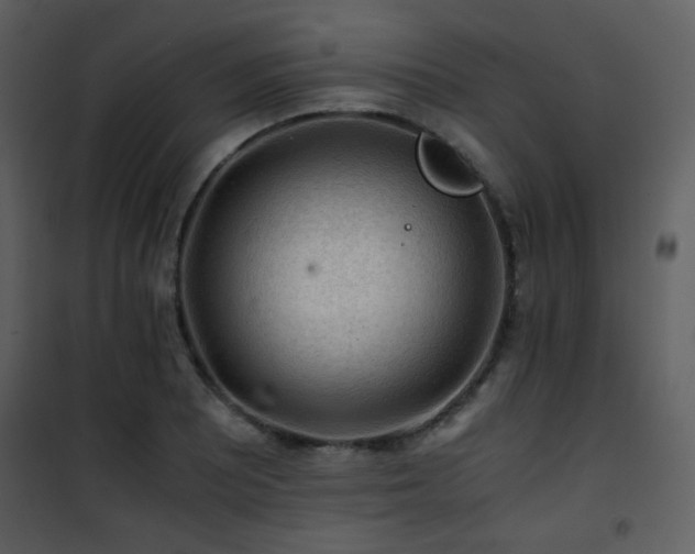 X0000101961081200807181035