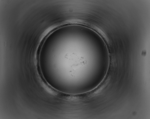 X0000101961082200807181034