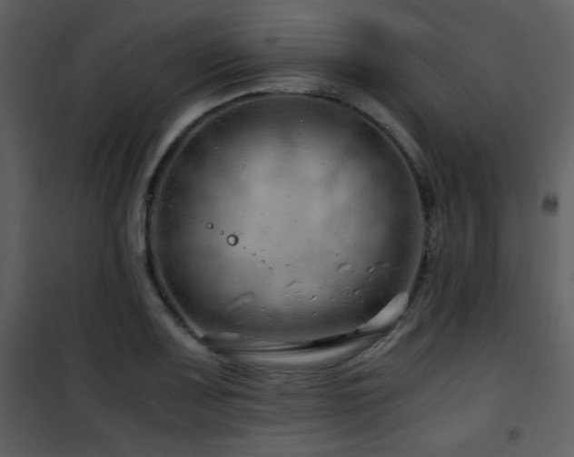 X0000101961083200807181034