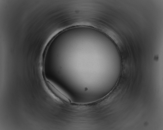 X0000101961084200807181034