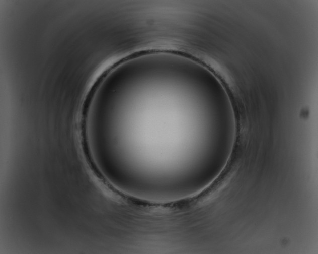 X0000101961085200807181034