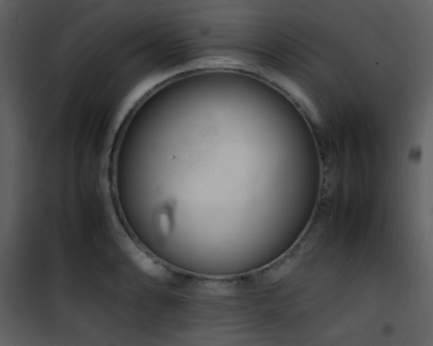 X0000101961086200807181034