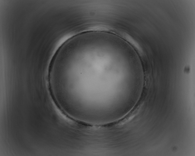 X0000101961087200807181034