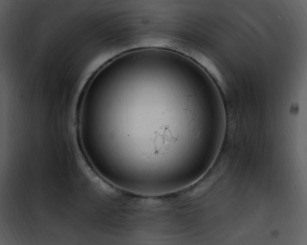 X0000101961088200807181034