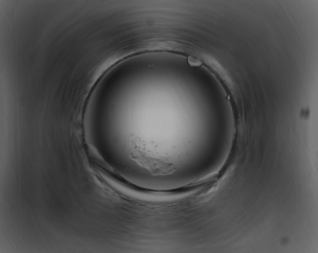 X0000101961089200807181034