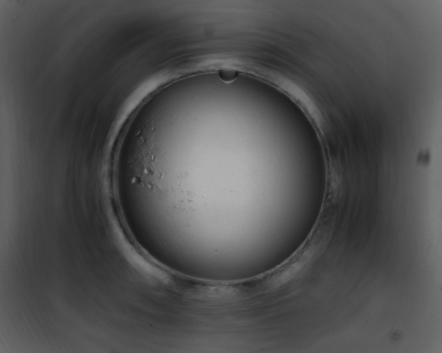X0000101961090200807181034