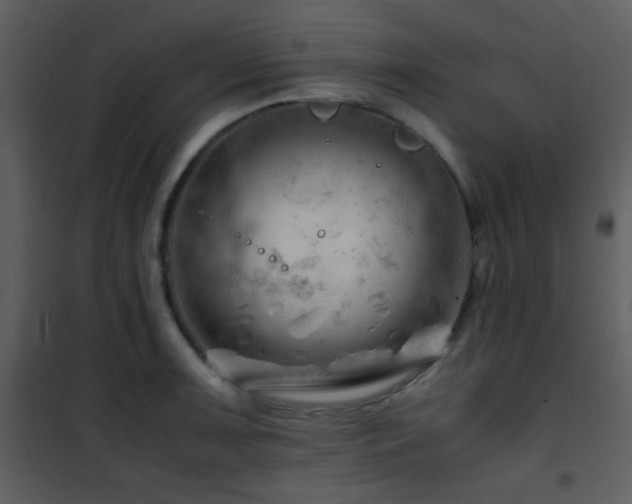 X0000101961091200807181034