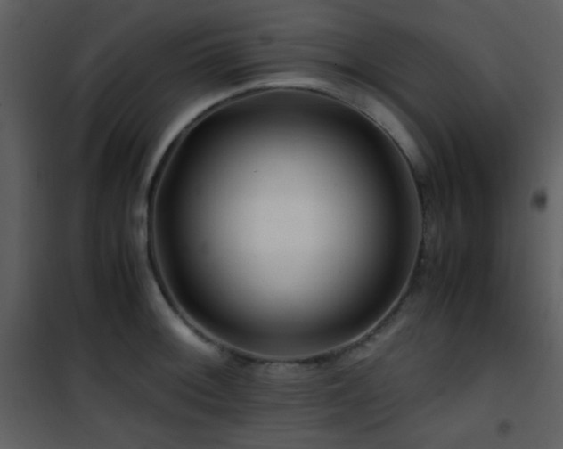 X0000101961092200807181034