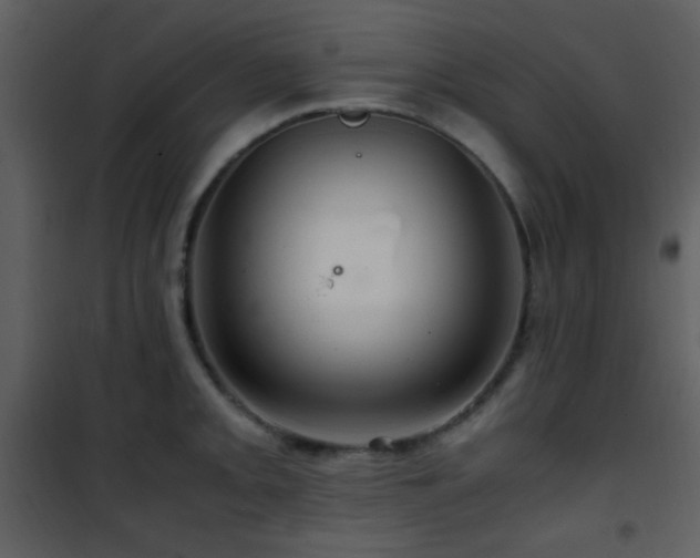 X0000101961093200807181034