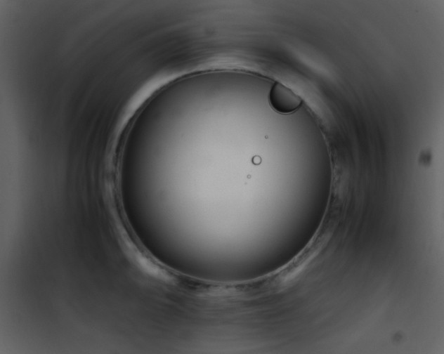 X0000101961094200807181034