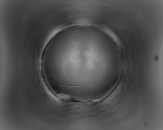 X0000101961095200807181034
