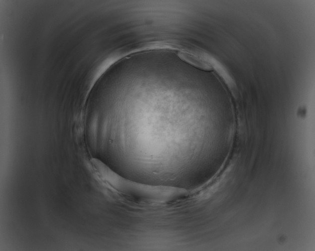 X0000101961097200807181034