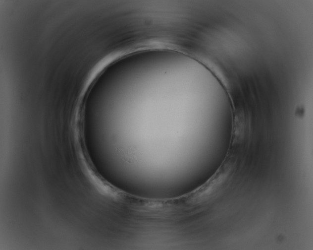 X0000101961098200807181034