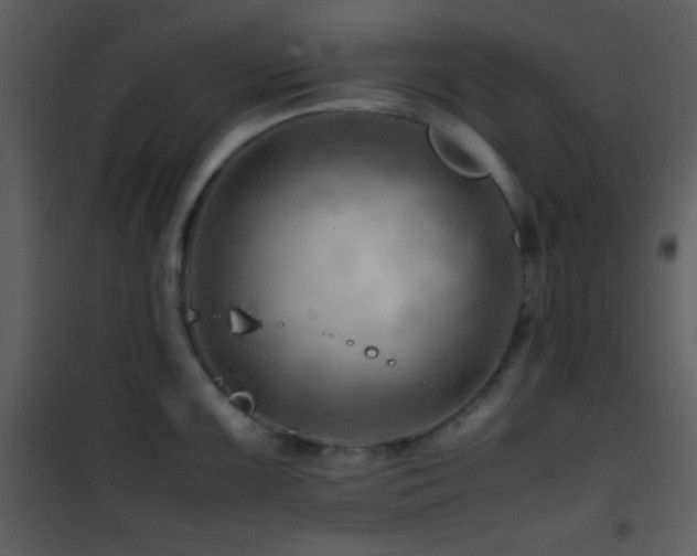 X0000101961099200807181034