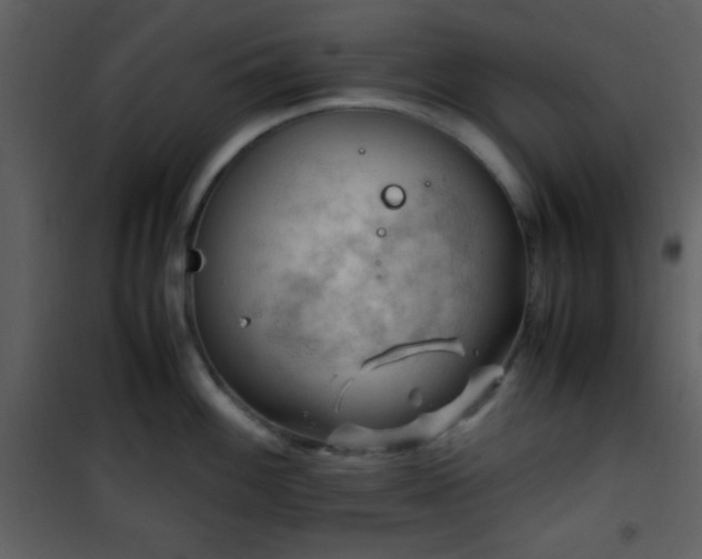 X0000101961100200807181034