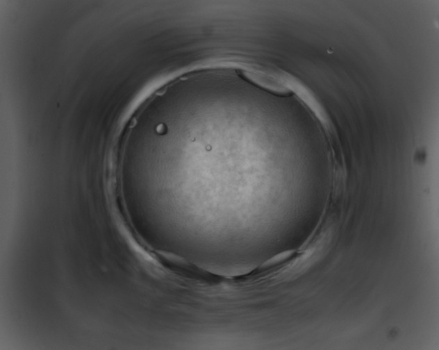 X0000101961101200807181034