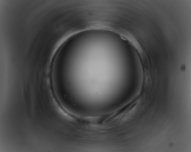 X0000101961102200807181034