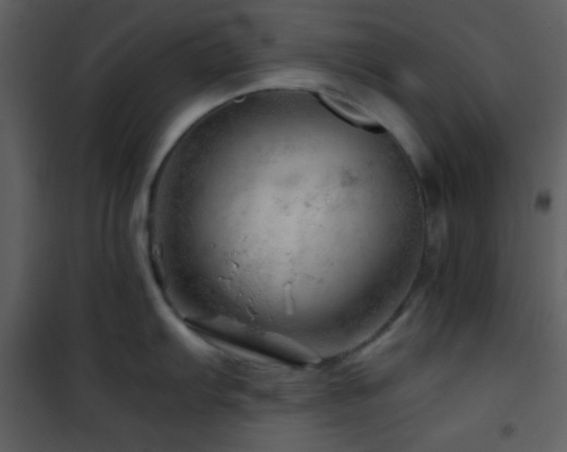 X0000101961103200807181034