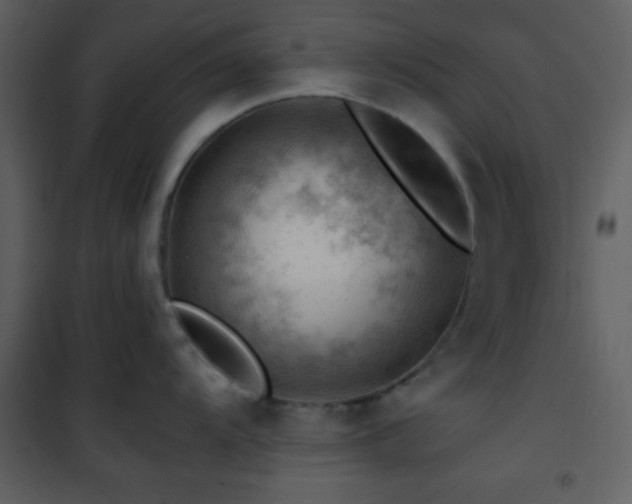 X0000101961104200807181034