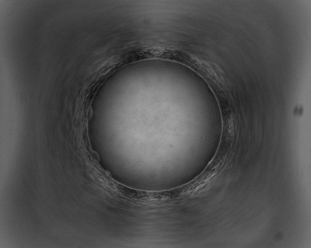 X0000101961105200807181033