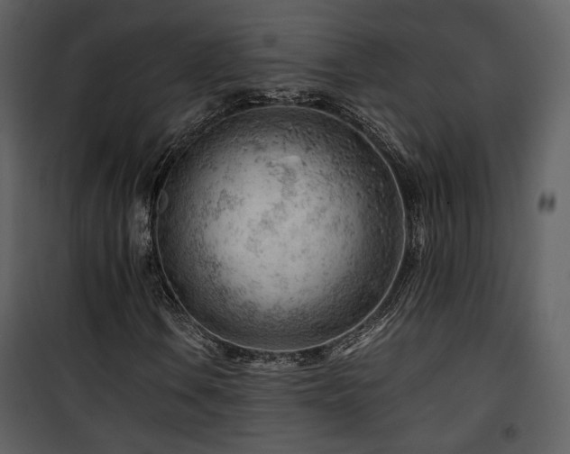 X0000101961106200807181034
