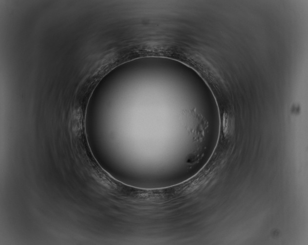 X0000101961107200807181034
