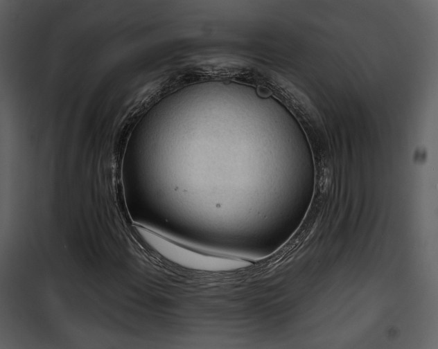 X0000101961108200807181034