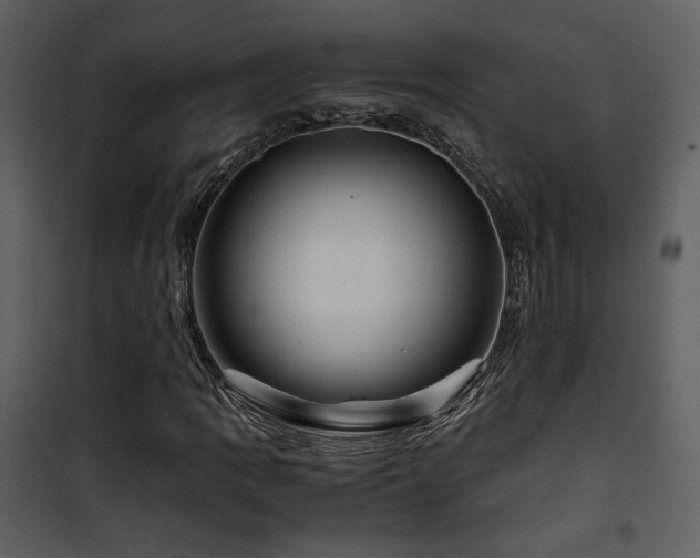 X0000101961109200807181034