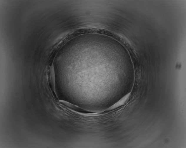 X0000101961110200807181034